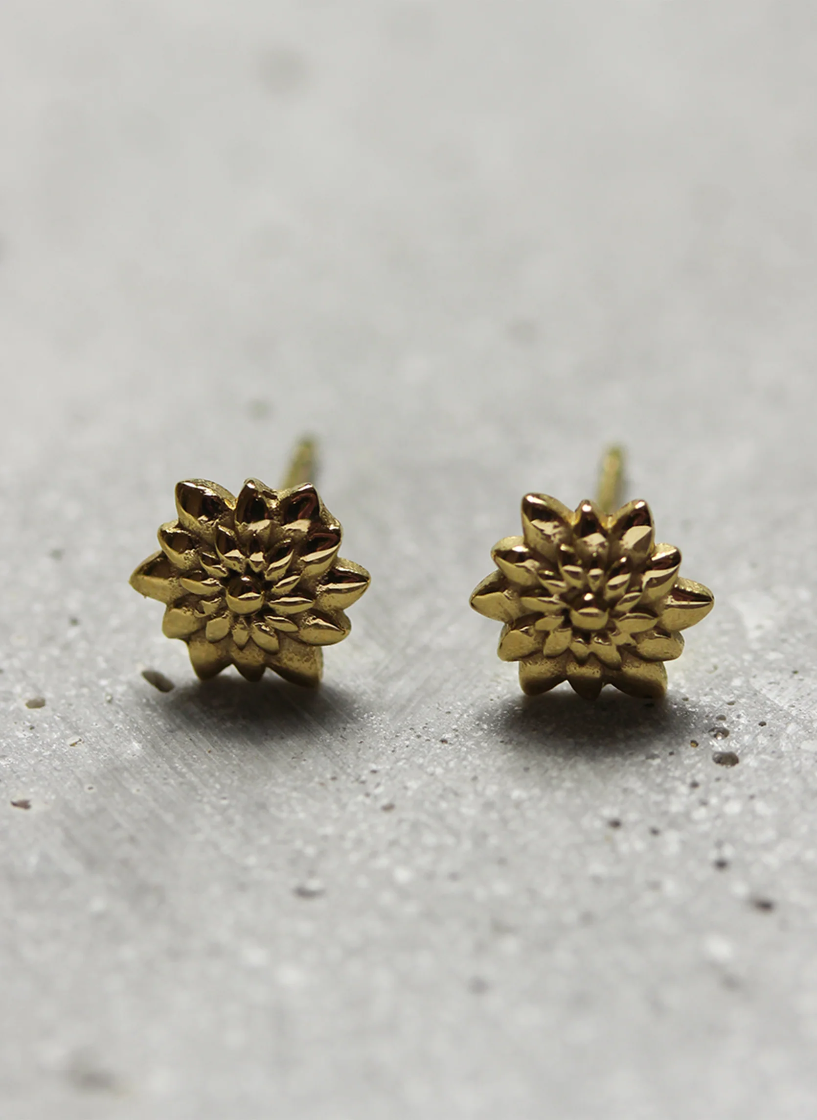 Puces d'oreilles Azuré - Image 3