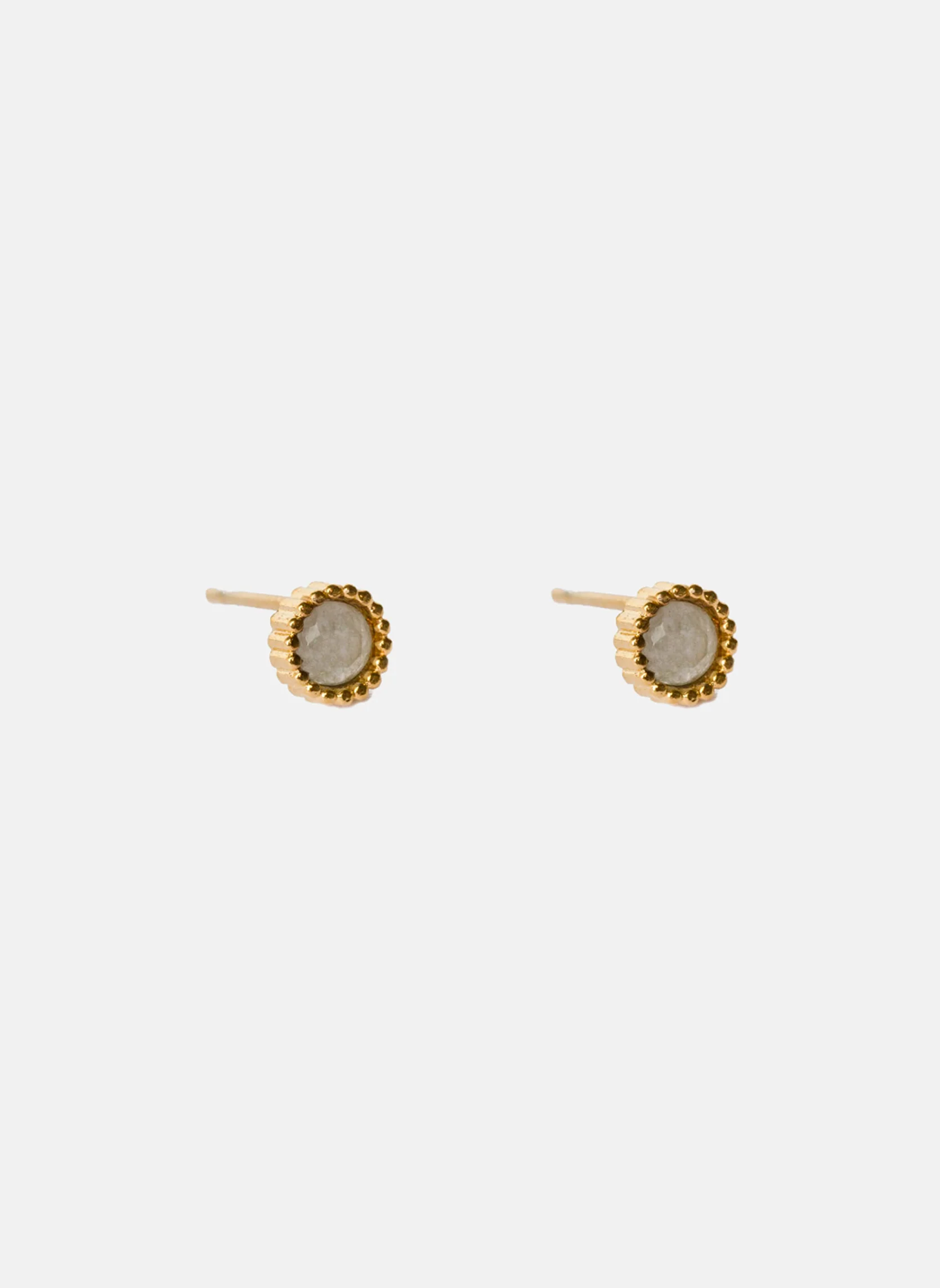 Puces d'oreilles Leto - Image 7